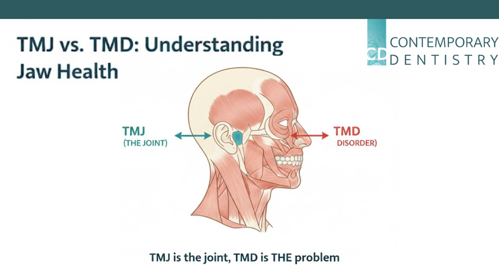 Illustration comparing TMJ and TMD, showing jaw anatomy with labeled temporomandibular joint (TMJ) and temporomandibular disorder (TMD), explaining jaw health differences.